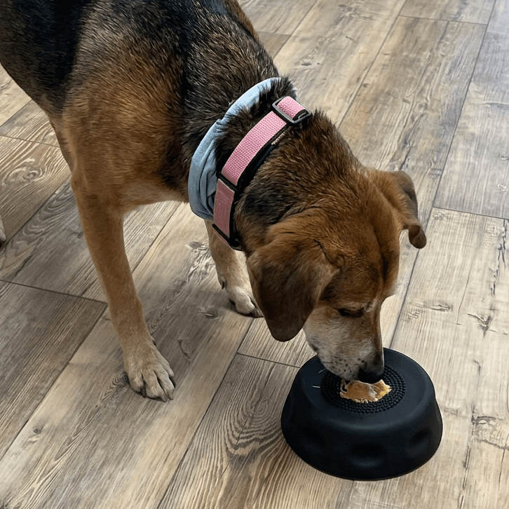 Katarzyna Wiśniewska