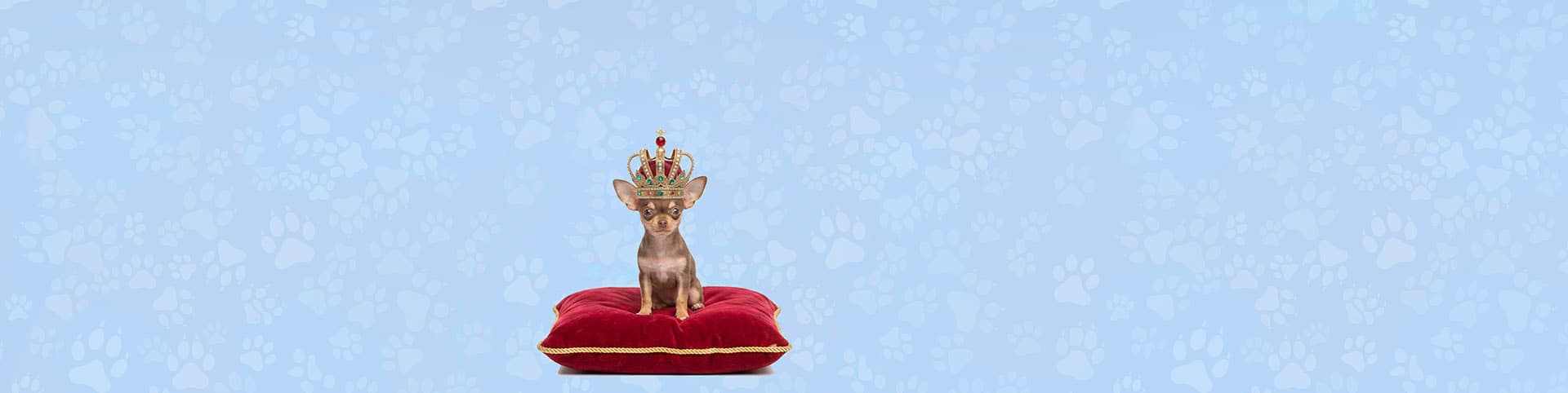Banner background